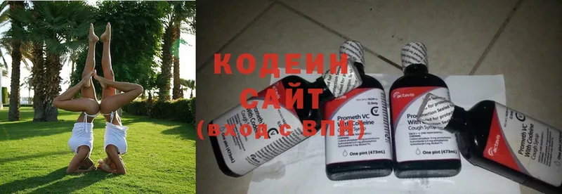 сколько стоит  Уржум  Кодеин Purple Drank 