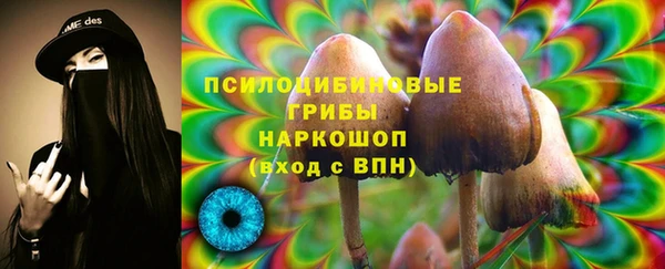 шишки Богданович